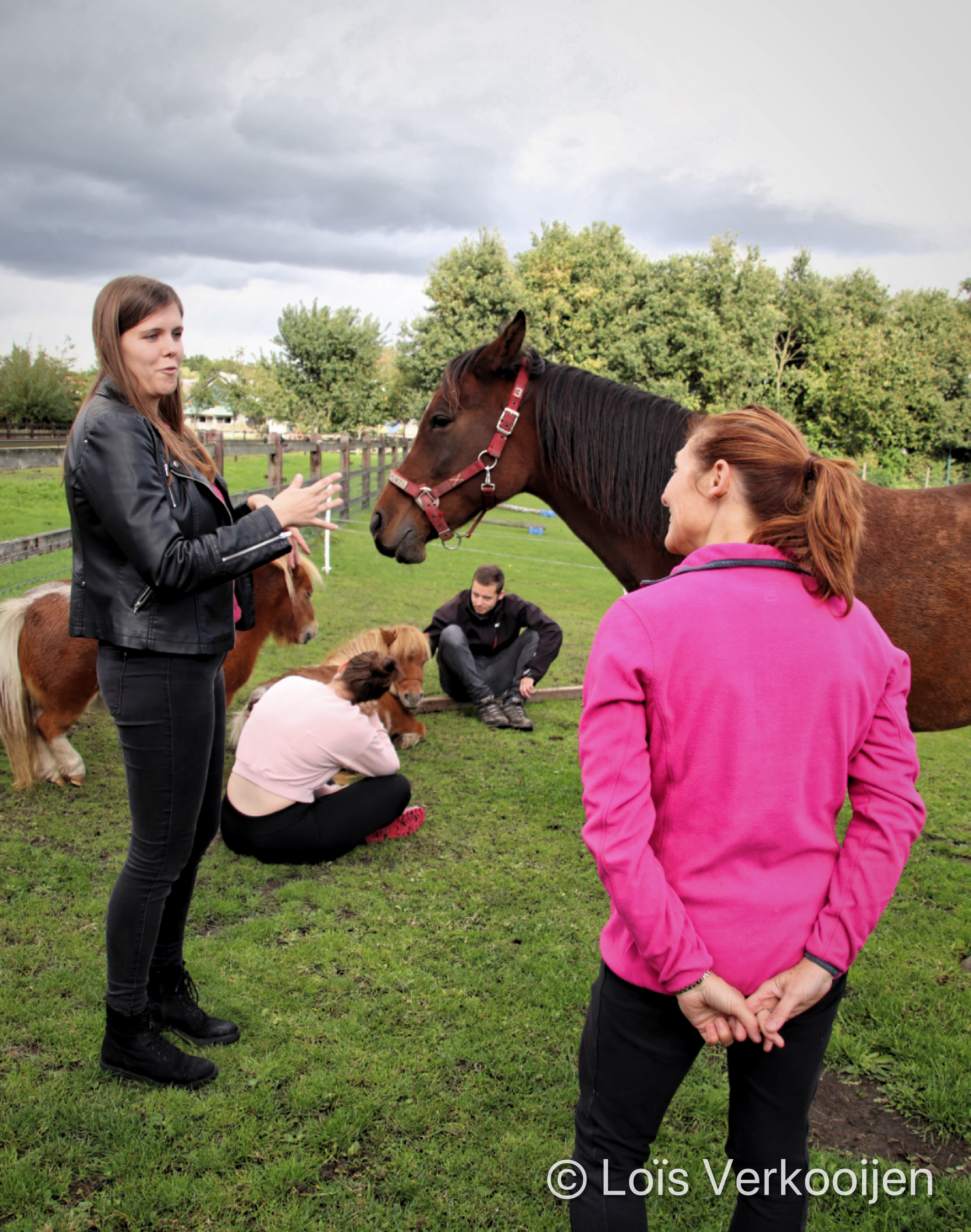 Horsesforyou-groepsuitjes